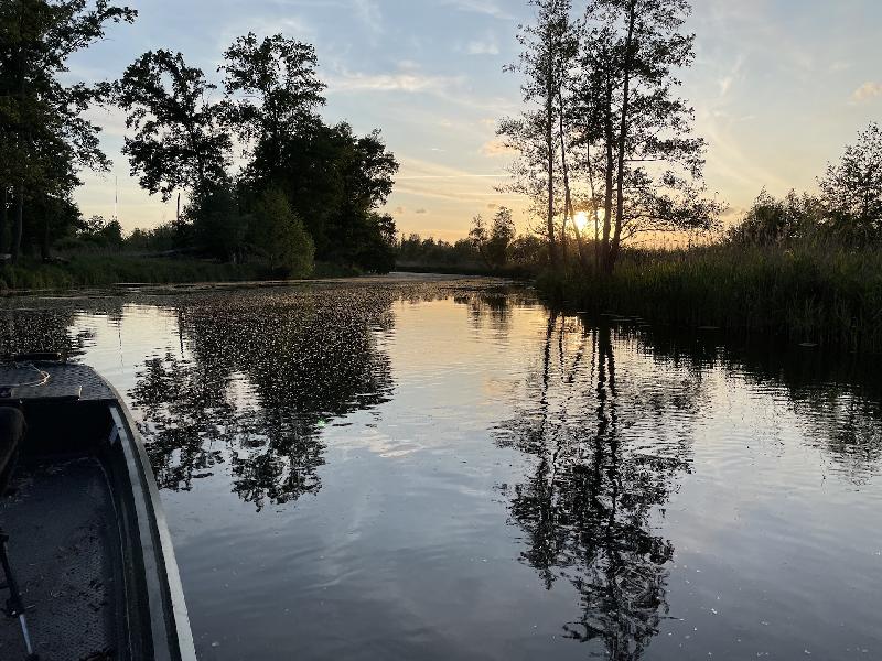 Kahnfahrt im Spreewald