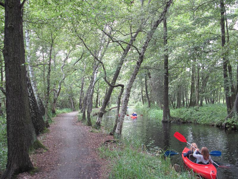 Paddeln im Spreewald