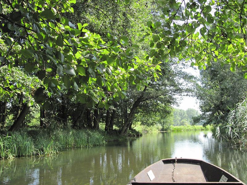 Kahnfahrt im Spreewald