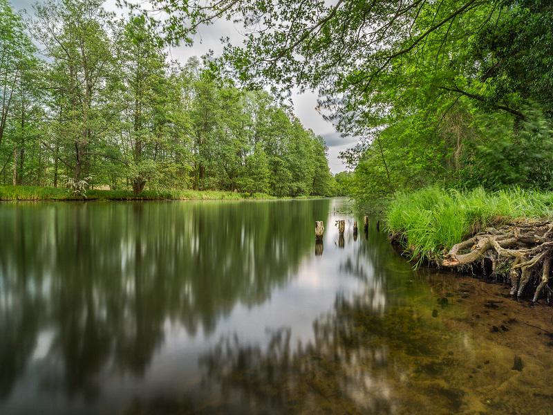 Spree in der Nähe des Ferienhauses