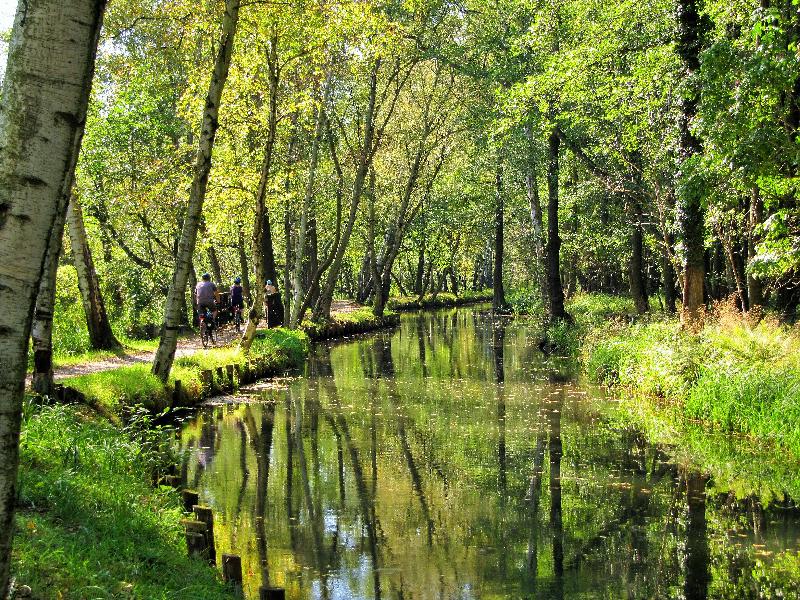 Aktive Erholung beim Radfahren im Spreewald