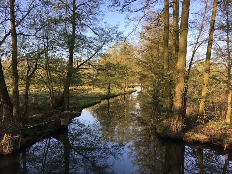 Der Spreewald Natur pur