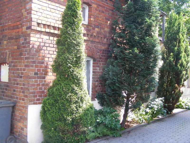 Außenansicht hofseitig