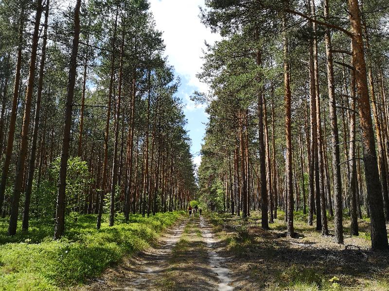 Wandern in der Calauer Schweiz