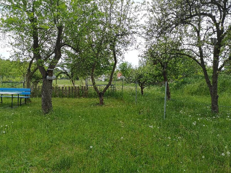 Obstbaumwiese mit Sonnenliegen