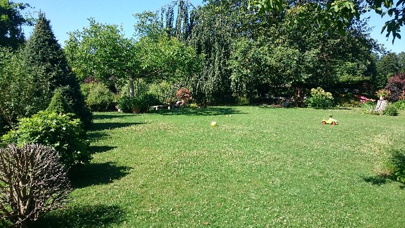 Blick von der Frühstücksterrasse in den Garten nach Süden