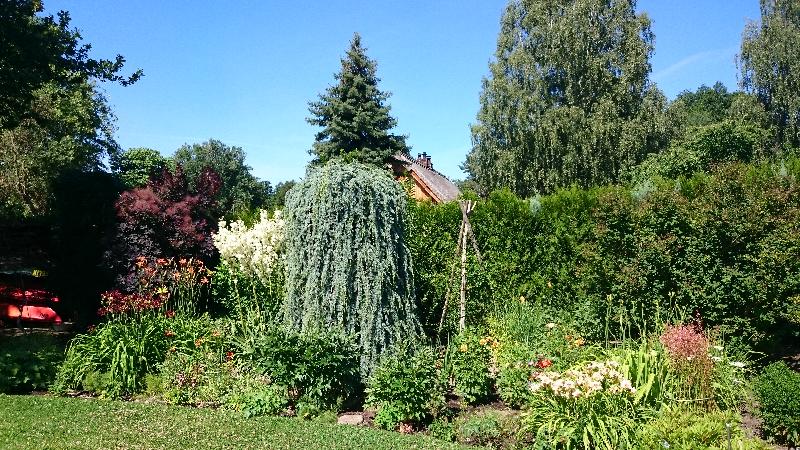 Gartenimpression an der Spiel- und Liegewiese